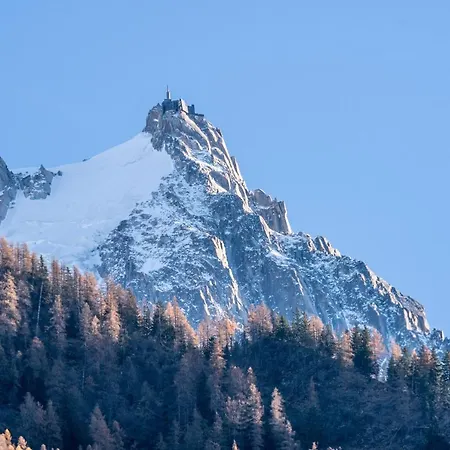 Sud With Mont Blanc Views Διαμέρισμα Σαμονί