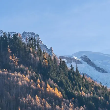 Διαμέρισμα Sud With Mont Blanc Views Σαμονί